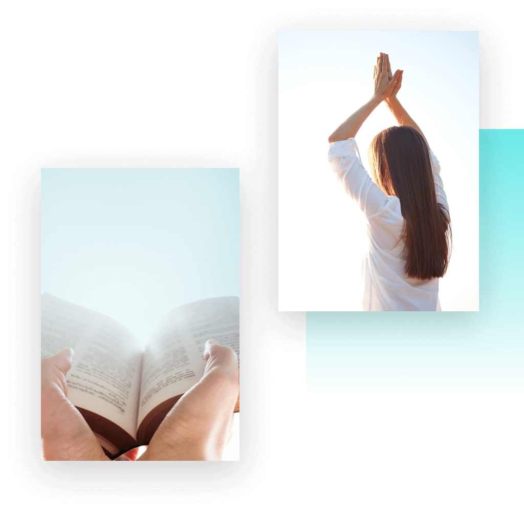 livros digitais chico xavier